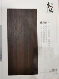 热带雨林